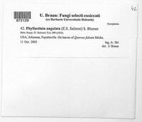 Image Associated With the Occurence